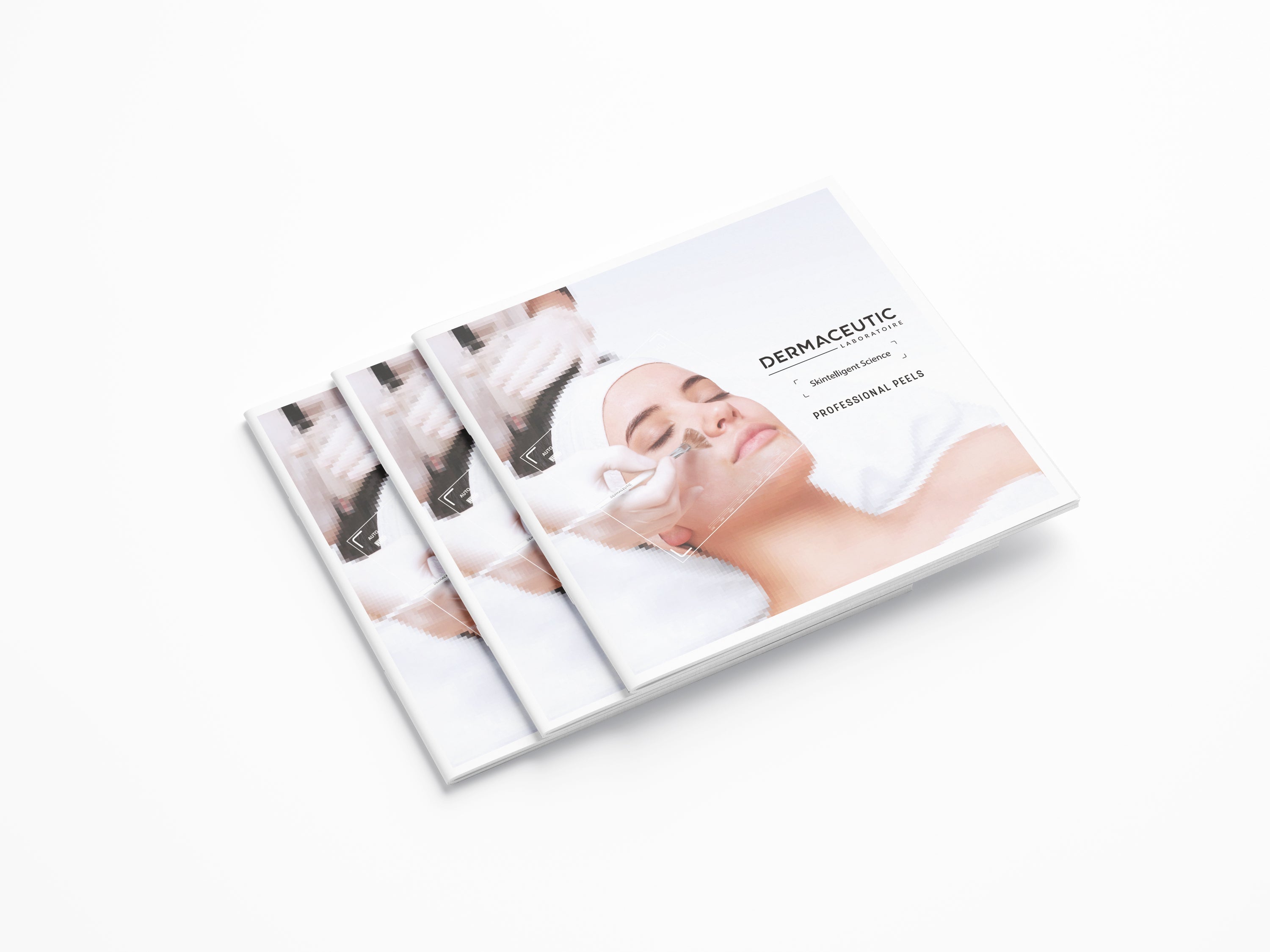 Professional Brochure